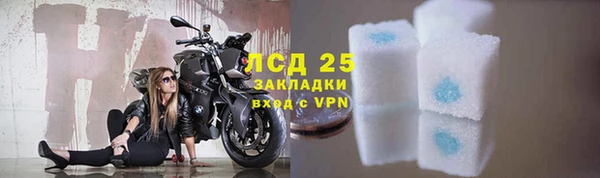 крисы Алзамай