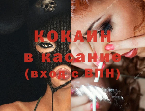 крисы Алзамай