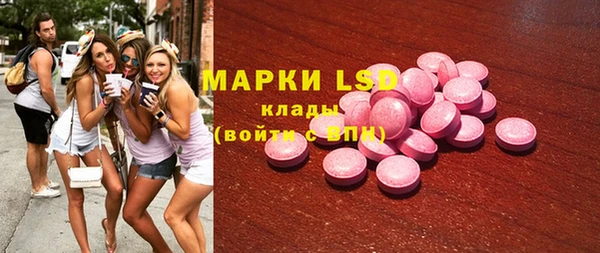 крисы Алзамай