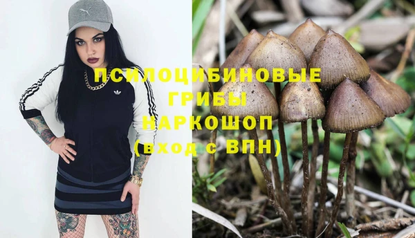 крисы Алзамай