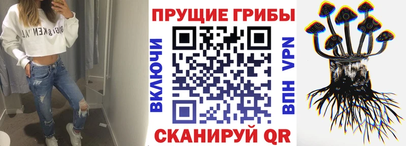 Псилоцибиновые грибы Magic Shrooms Бирюч