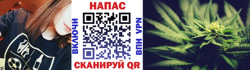Шишки марихуана марихуана Бирюч
